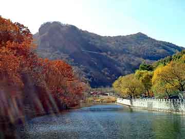 新澳门期期准精准，大鹏背景